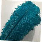 (30-35cm) Ostrich Feathers,Ostrich Plume,Wedding centerpieces 14-16inch Teal