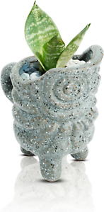 Retro Succulent Planter Ceramic Flower Pot for Indoor Outdoor, Cactus Planter Po