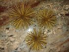 New Listing3Pc MCM Wall Decor Black Gold Metal Starburst Sea Urchins Retro