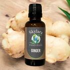 100% Pure Organic Ginger Essential Oil All Natural FREE SHIPPING Organic