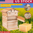 7PCS Auto Flowing Frames+Beekeeping House Bee Hives Complete Box Kit US