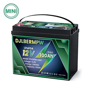 Mini 12V 100Ah LiFePO4 Lithium Battery For Marine Trolling Motor