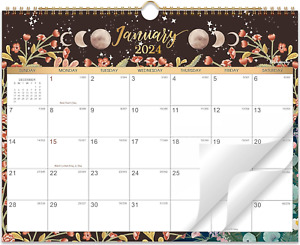 2024 Calendar - 2024 Wall Calendar, Jan. 2024 - Dec. 2024, 15