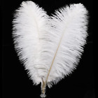 50-500pcs White Ostrich Feathers   Table  Home DIY Craft Supplies  Accessories