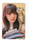 Twice Tzuyu Photocard | Between1&2 Plushie