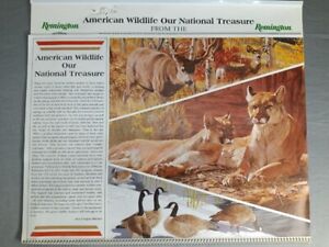 Vntg. Remington Dupont American Wildlife Our National Treasure 1993 Calendar NOS