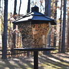Black Recycled Plastic Hopper Wild Bird Feeder, with Extra Large 6 lb. Capacity