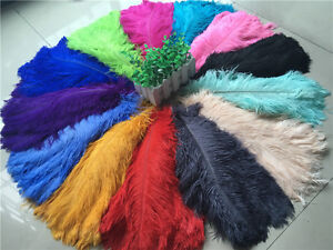 Wholesale, beautiful 10-100pcs special color ostrich feathers 6-24inches/15-60cm