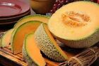 Premium Hearts of Gold Cantaloupe - Fresh Heirloom Seeds - Extremely Sweet!