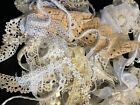 VINTAGE NEUTRAL LACE TRIM BULK LOT SEWING CRAFT SNIPPET ROLL DOLL CLOTHES