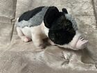 Ganz Webkinz Signature Pot Bellied Pig Stuffed Animal Plush 14” No Code