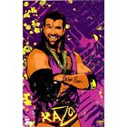 JSA SIGNED RAZOR RAMON TTD  11x17 Poster AUTOGRAPHED pro wrestling Scott Hall