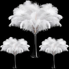 90 Pcs Large Natural Ostrich Feathers Bulk - Plumes for Centerpieces,  white