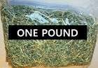 REAL Vintage Shredded US Currency Money - ONE POUND 1lb Bag - Clean Long Cut