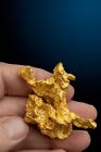 Intricate and Large - Natural Australian Natural Gold Nugget - 107.11 grams