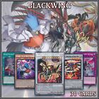 BLACKWING 30 DECK | Shwdow Squall Winged Assault Dragon DABL MP23 YuGiOh🔥