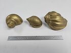 Lot Of 3 Vintage Solid Brass Conch Shell Figurine Statue Seashell Paperweight