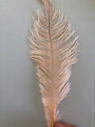 Blush Ostrich Feather 16-20 inch Long per Each