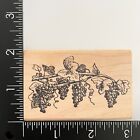 Stamp Francisco Grapevine Grapes ED101-L Wood Mounted Rubber Stamp
