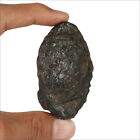 481.35 CT Natural Indian Emerald Raw Rough Loose Gemstone For Tumbling & Cabbing