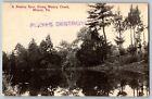 Muncy, Pennsylvania PA - A Beauty Spot Along Muncy Creek - Vintage Postcard