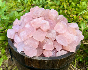 1/2 lb Bulk Lot Natural Rough Rose Quartz Crystals (Raw Reiki Love Healing 8 oz)