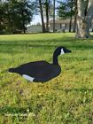 4MM COROPLAST Canada Goose  Silhouette HUNTING DECOYS.