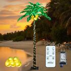 Lightshare Lighted Palm Tree Artificial Palm Tree Decor for Outdoor Indoor
