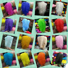 17 Color Wholesale 10-100 pcs Pretty 6-24 inch/15-60cm Natural Ostrich Feathers