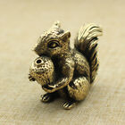 Brass Squirrel Figurine Statue Animal Figurines Toys House Office Decoration A77