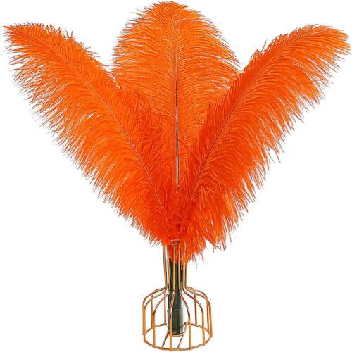 THARAHT Orange Ostrich Feathers 12pcs Large Natural Bulk Home Decoration Feather