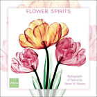 Sellers Publishing Flower Spirits 2024 Wall Calendar w