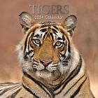 2024 Square Wall Calendar, Tigers, 16-Month Animals Theme 180 Stickers 12x12