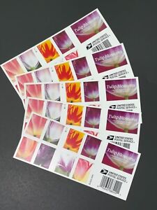 SEALED 2023 Tulip Blossoms US Postage Forever 100 Count Stamps (5 Sheets of 20)