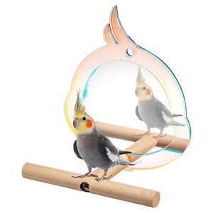 Bird Toy Cage Mirror Wooden Perch with Mirror for Parrot Parakeet Cockatiel