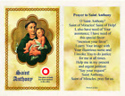 Saint St. Anthony with Prayer  - Relic Paperstock Holy Card