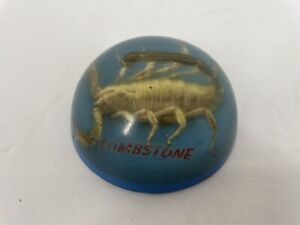 Scorpion Paperweight Acrylic Tan Brown Round Vtg 1970s Taxidermy Bugs