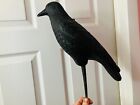 New ListingFLAMBEAU  Vintage Halloween  Black Crow Blow Mold ~ SUPER CLEAN  &  SCARY