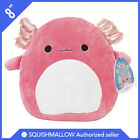 Squishmallow Kellytoy Plush Archie The Pink Axolotl Exclusive 8