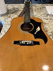 Global Dove Acoustic Guitar 6 string Vintage with stap.