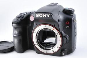 Sony Slt-A77V 77 Body Digital Slr Camera 616 from Japan