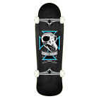 Birdhouse Skateboard Assembly Tony Hawk Skull 2 9.75