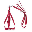 Parrot Harness Training Small Bird Harness and Leash Parrot Flight Harness