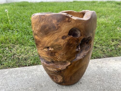 Teak Root 11.8'' Tall Shallow Vase Natural Wooden Decorative Home Decor Ornament