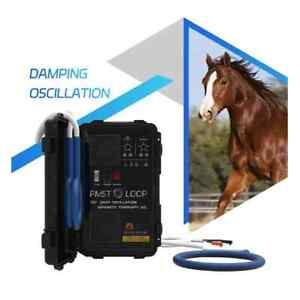 Equine PEMF Therapy Horses Massage Machine PMST LOOP Magnetic Physiotherapy