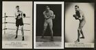 Lot of 3) 1920s Images TUNNEY, CARPENTIER, WILLARD Boxing PhotoCards Postcard Sz