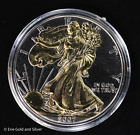 2007 $1 Gilded Black Ruthenium American Silver Eagle in Capsule