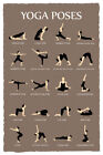 Yoga Poses Reference Chart Studio Gray Cool Wall Decor Art Print Poster 12x18