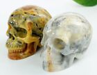 2.0'' Crazy Lace Agate Carved Crystal Skull Healing and Chakras Skull Crystals
