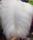 1 Piece White 28-30 inches Ostrich Feather/Plume/Wing/ Horse Feathers